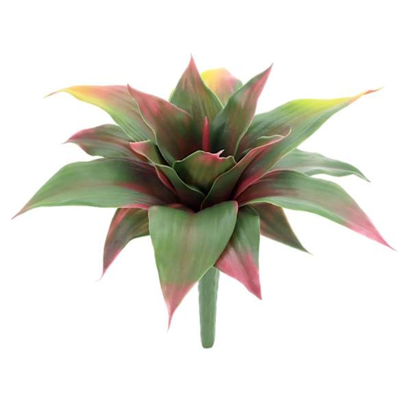 Aloe Pick, 10″