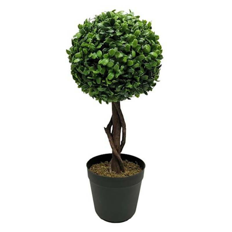Boxwood Ball Topiary Plant in Black Planter, 17″