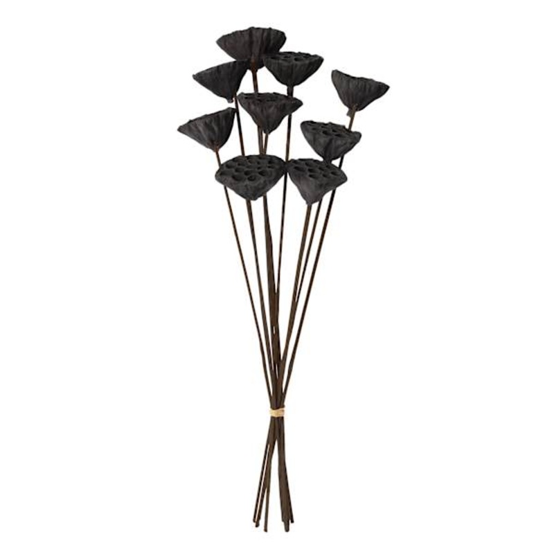 Found & Fable Black Lotus Pod Bunch, 24″