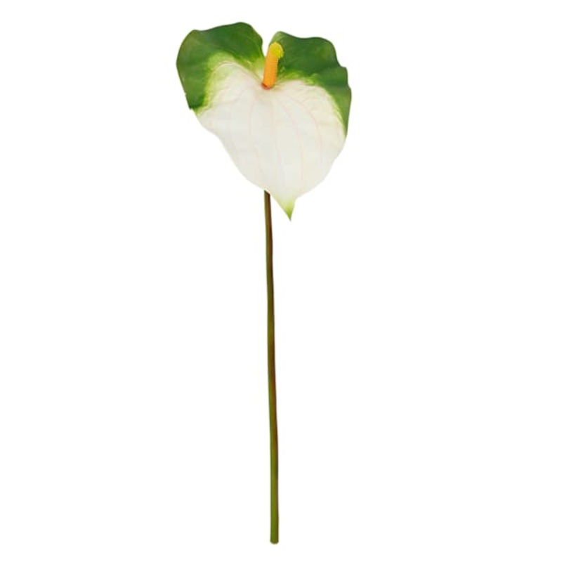 Green & White Anthurium Stem, 27.5″