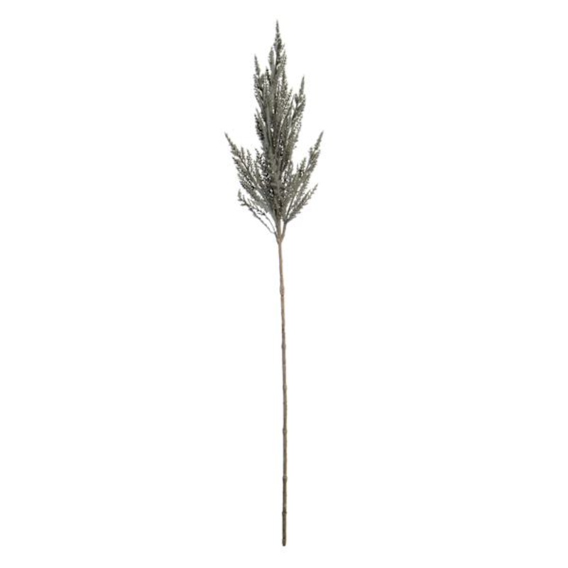 Grey Pampas Grass Stem, 32″