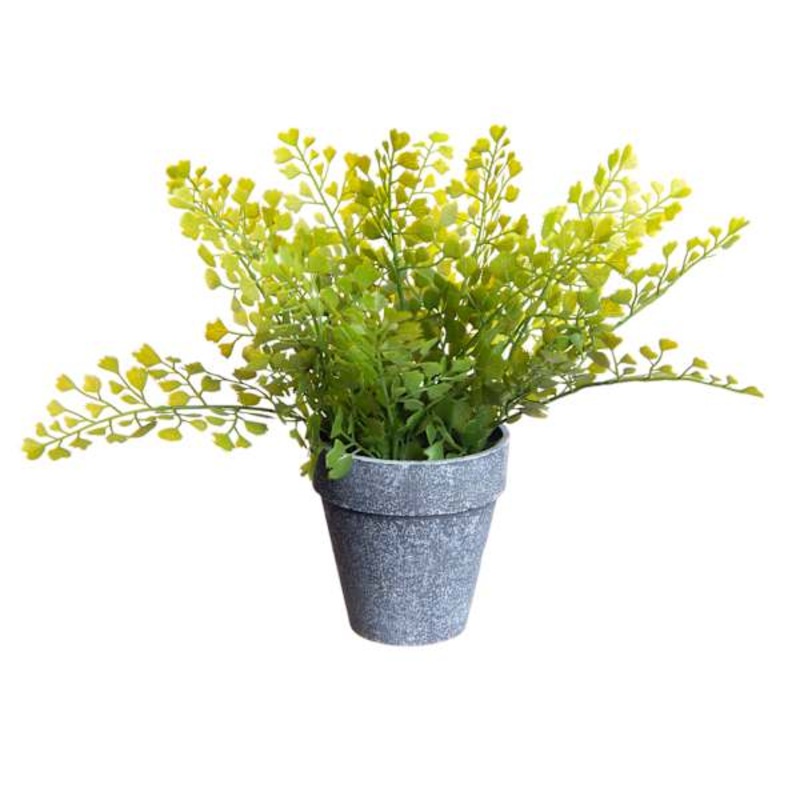 Honeybloom Faux Maidenhair Fern in Grey Ceramic Pot