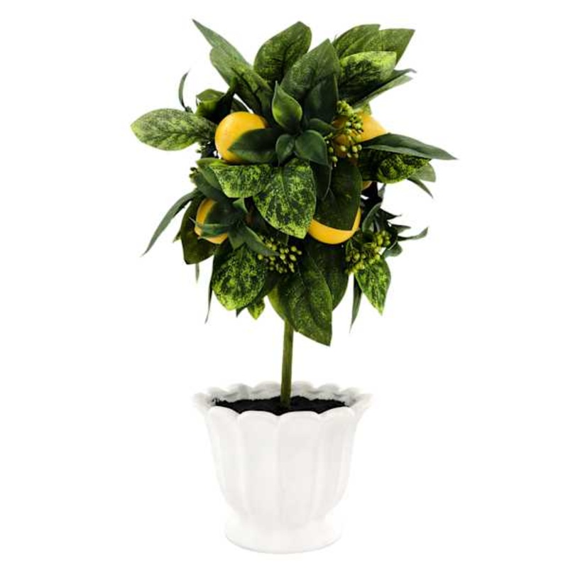 Lemon Plant in Ceramic Pot, 15″