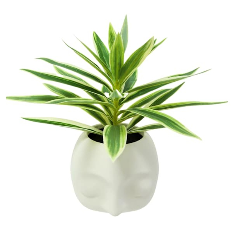Lilies in Face Pot, 10.5″