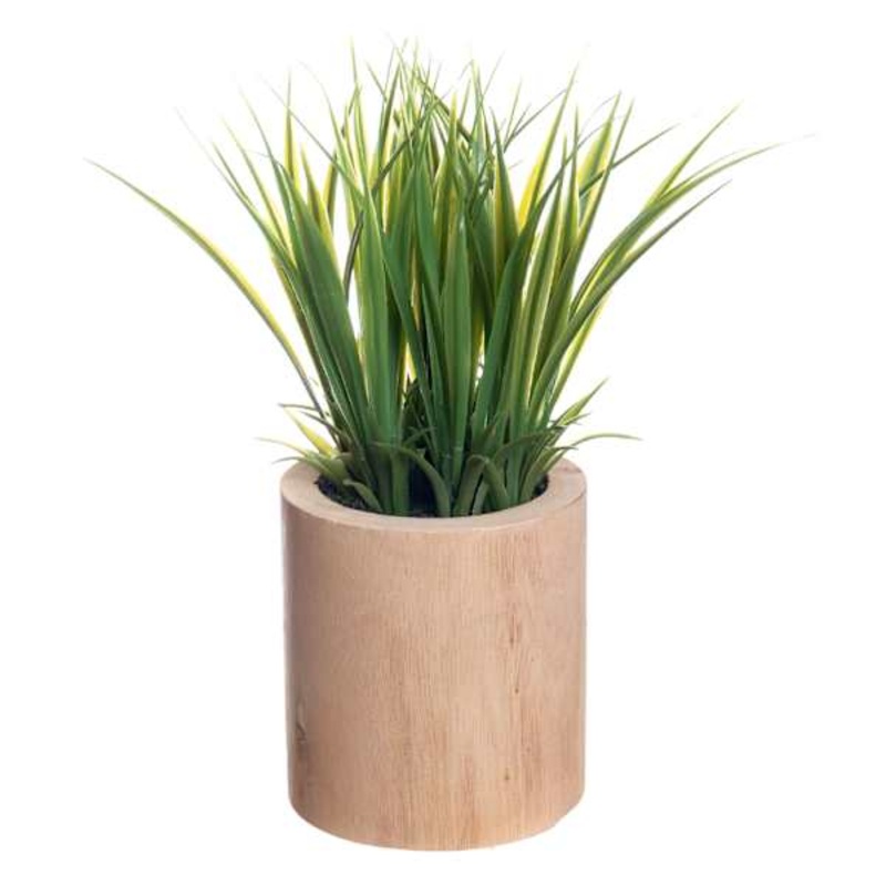 Natural Grass Spray in Wooden Pot, 9″