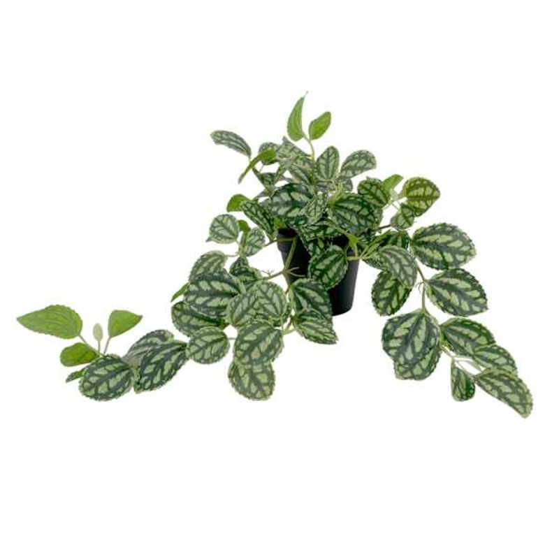 Outdoor Rated Watermelon Leaf Arrangement, 15″