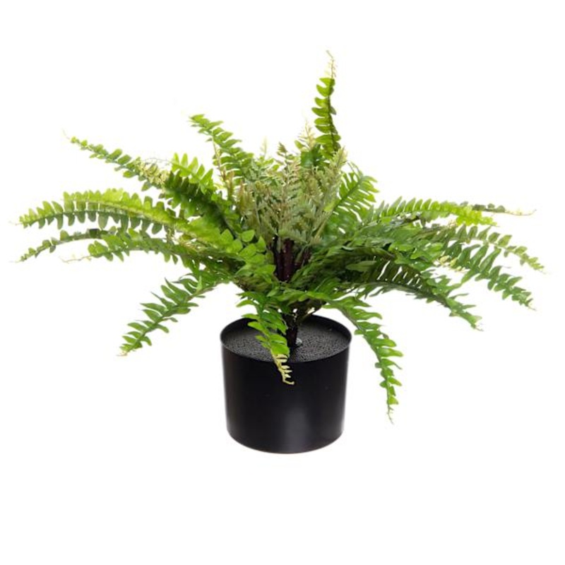 Potted Green Fern Plant, 24″