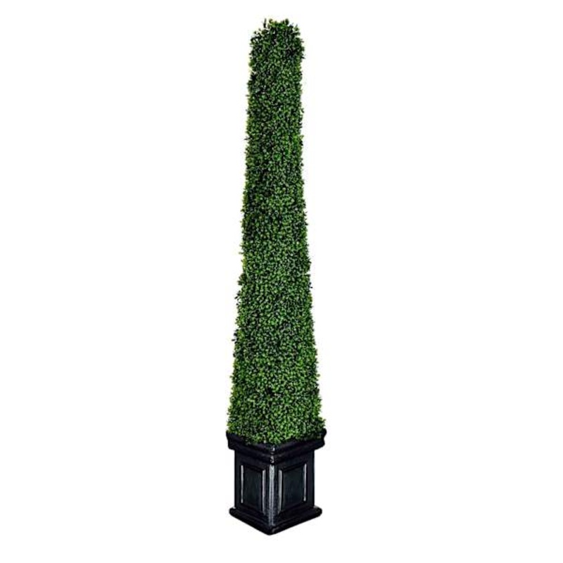 Pyramid Boxwood Topiary, 52″