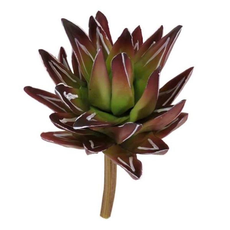 Red Aloe Pick, 8.5″