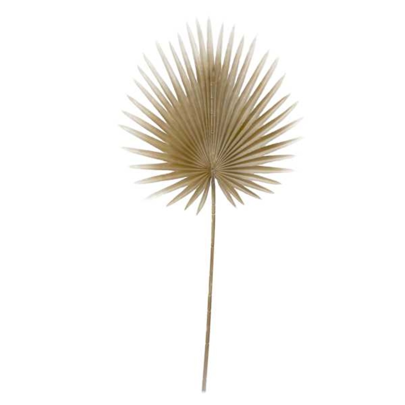 Tracey Boyd Light Coffee Fan Palm Stem, 35″
