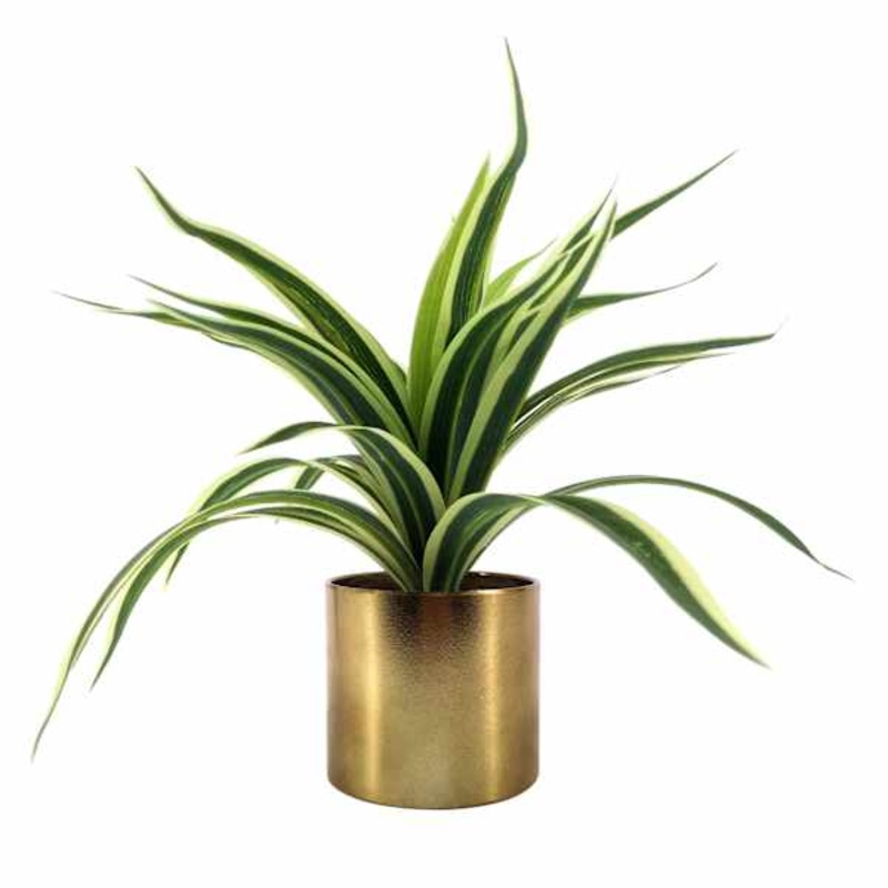 Variegated Greenery in Metallic Pot, 10″