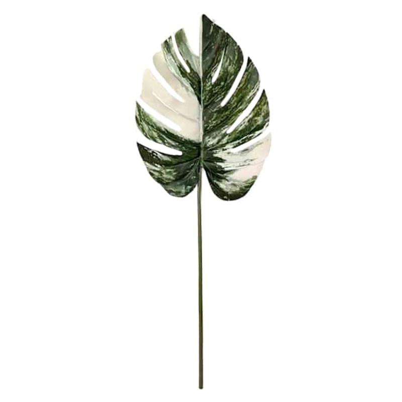 Variegated Monstera Leaf, 38″