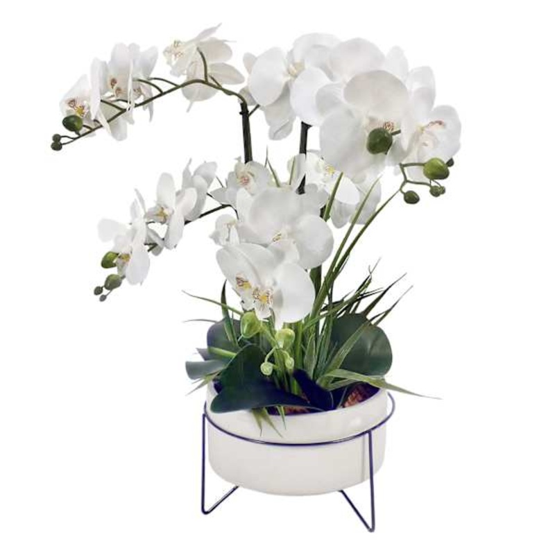 White Orchid in Cement & Metal Plant Stand, 29″