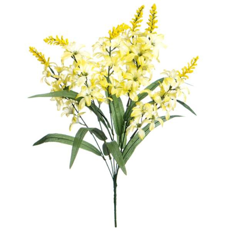 Yellow Hyacinth Bush, 20″
