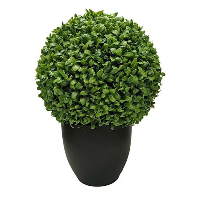 Boxwood Ball Plant with Black Planter, 16″