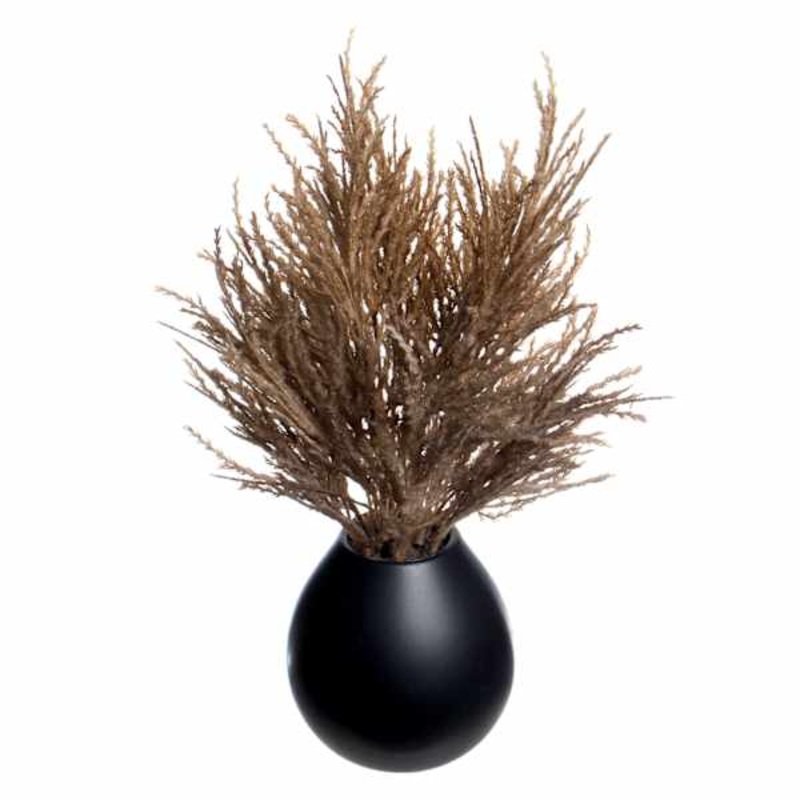 Crosby St. Brown Pampas Grass in Black Pot, 16″