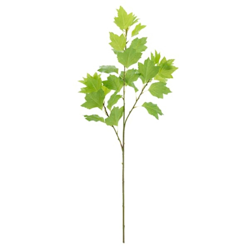 Flowering stem, 30″