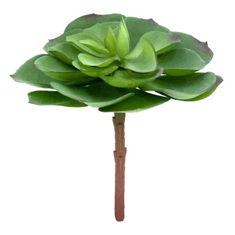 Green Succulent Pick, 5.5″