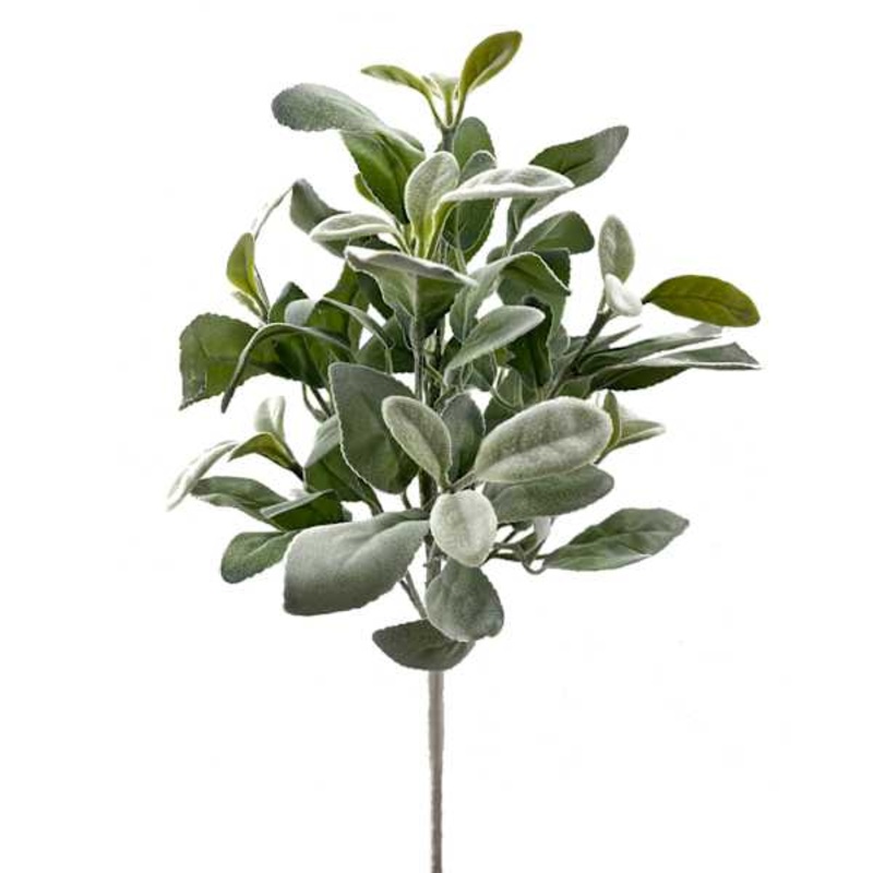 Lamb’s Ear Plant Spray, 16″