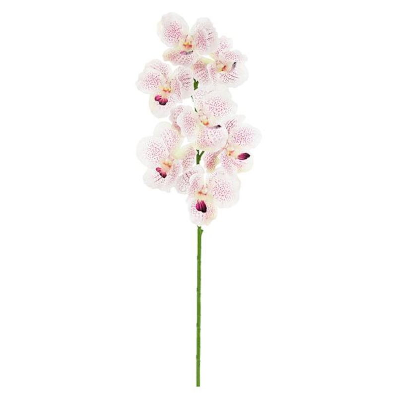 Light Pink Moth Orchid Floral Stem, 31″