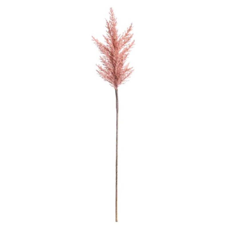 Light Pink Pampas Grass Stem, 36″