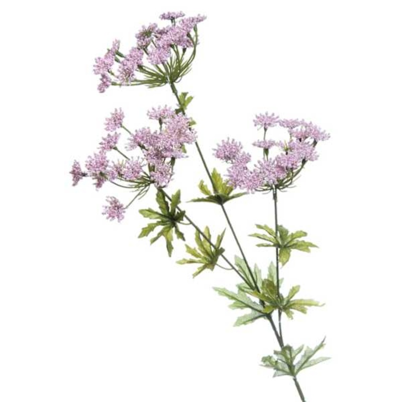 Purple Queen Ann Lace Spray, 31″