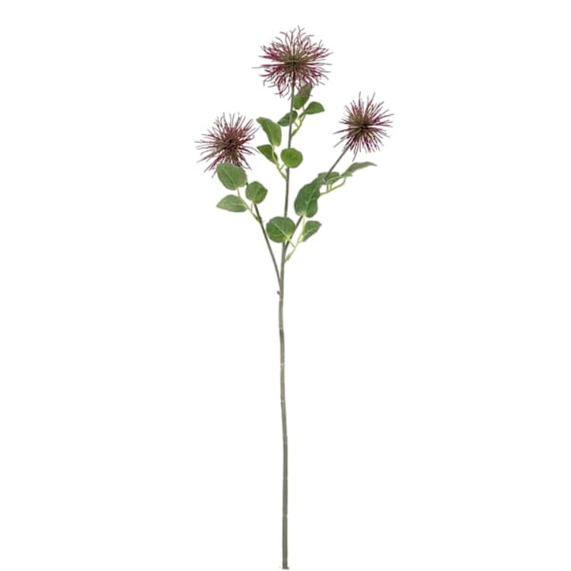 Purple Xanthium Stem, 28″