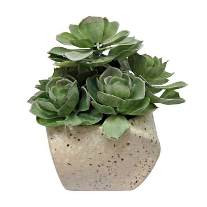 Succulent with Stone Look Planter, 8″