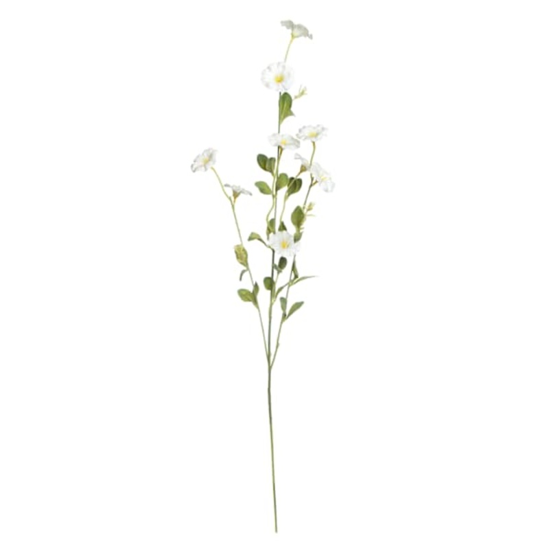 White Morning Glory Spray, 34″