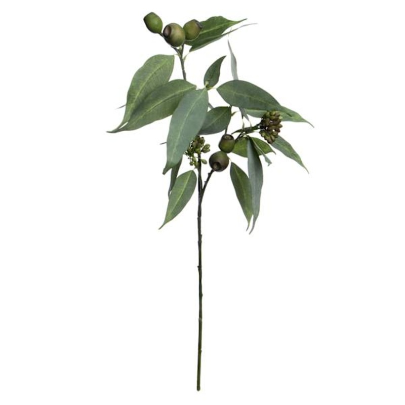 Willow Crossley Eucalyptus & Seed Spray, 32″