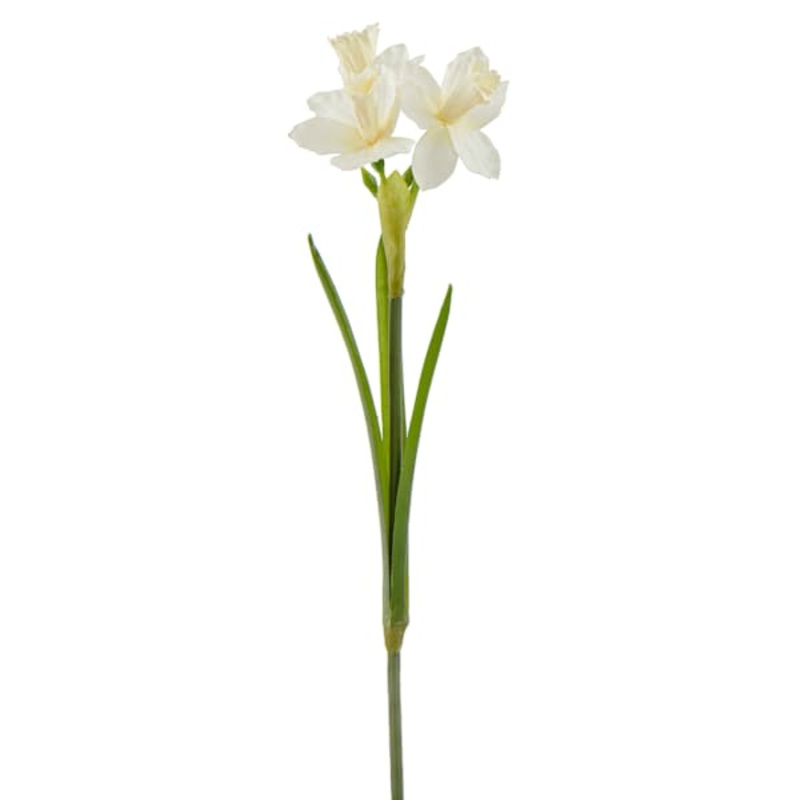 20.5IN NAT TOUCH NARCISSUS