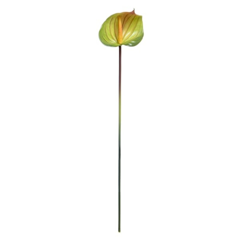Anthurium Stem, 27″