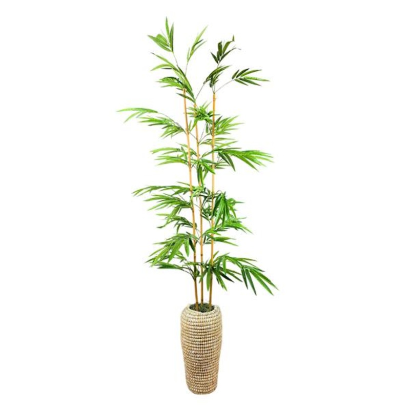 Bamboo Tree in Urn Basket, 6.5′