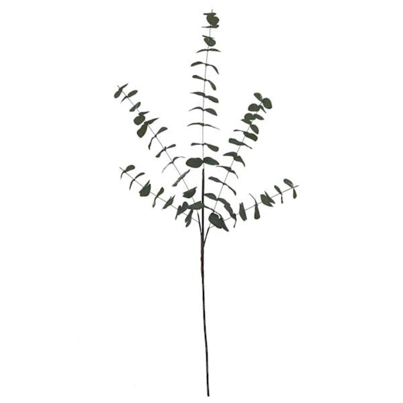 Eucalyptus Plant Spray, 40.5″