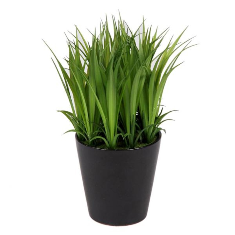 Grass Plant with Black Ceramic Planter, 9″