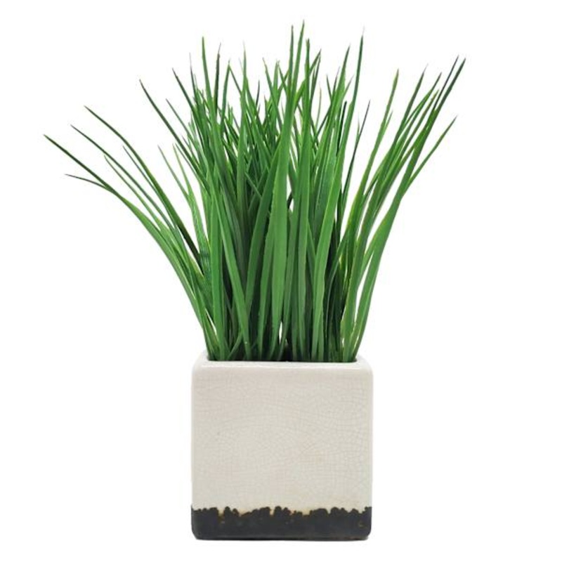 Grass Plant with White Square Planter, 10″