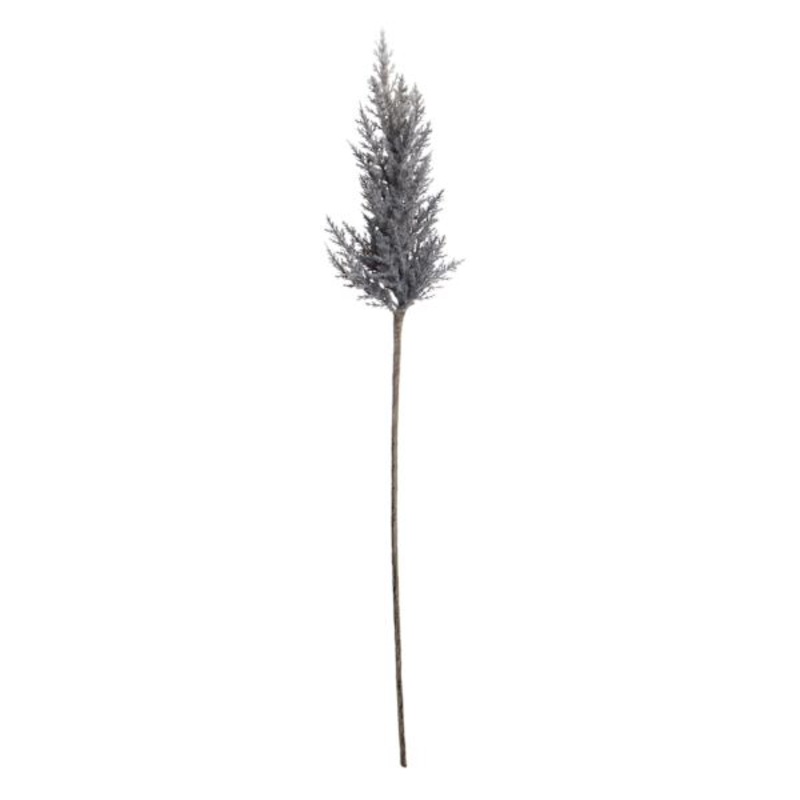 Grey Pampas Grass Stem, 36″