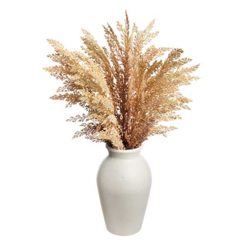 Honeybloom Brown Pampas Grass in Pot, 19″