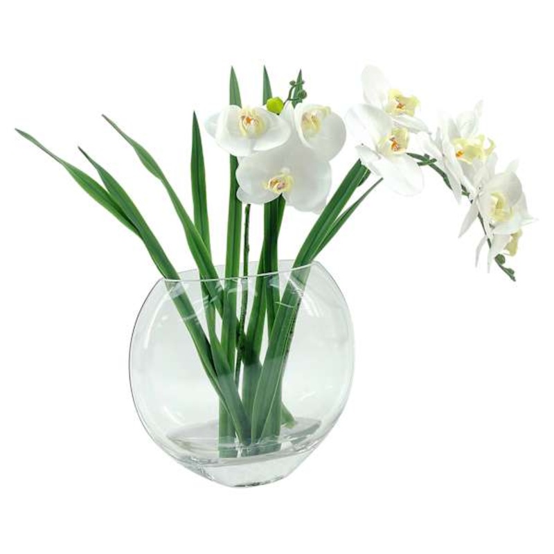 Laila Ali Orchid with Glass Vessel, 15″