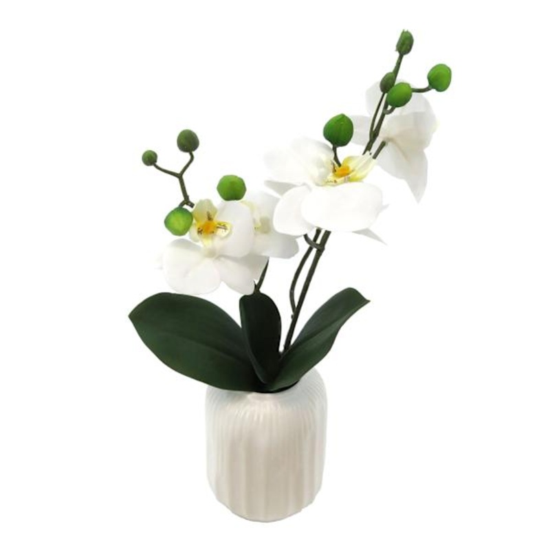 Phalaenopsis Flowers in White Pot, 16″