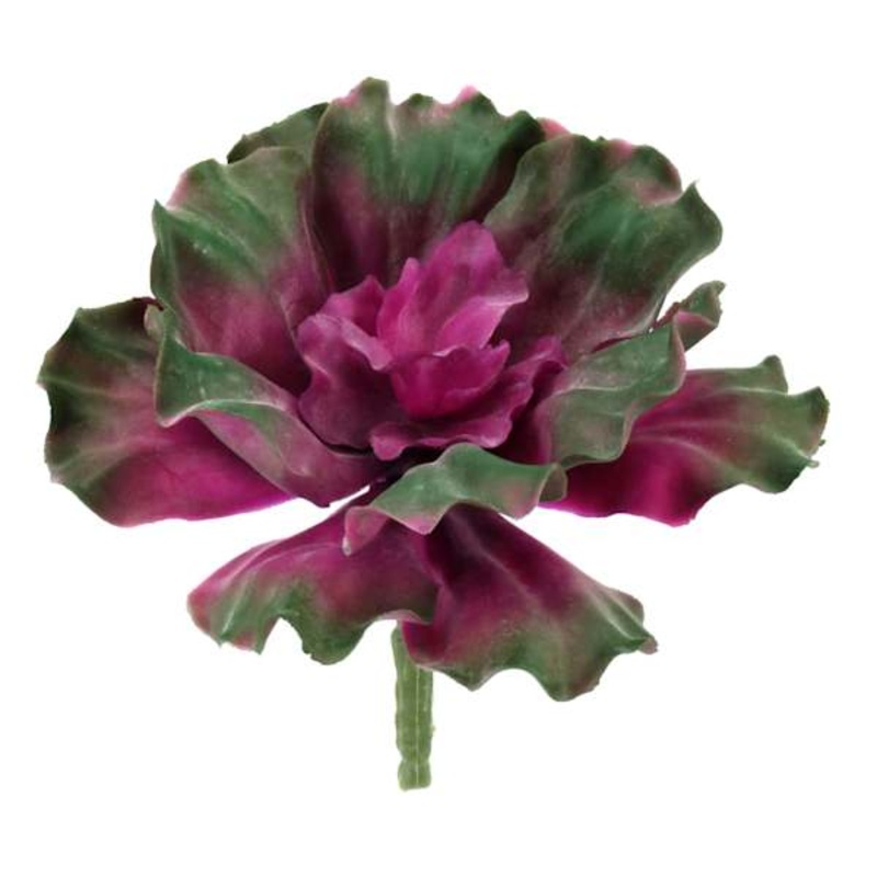 Purple Curly Echeveria Spray, 6″