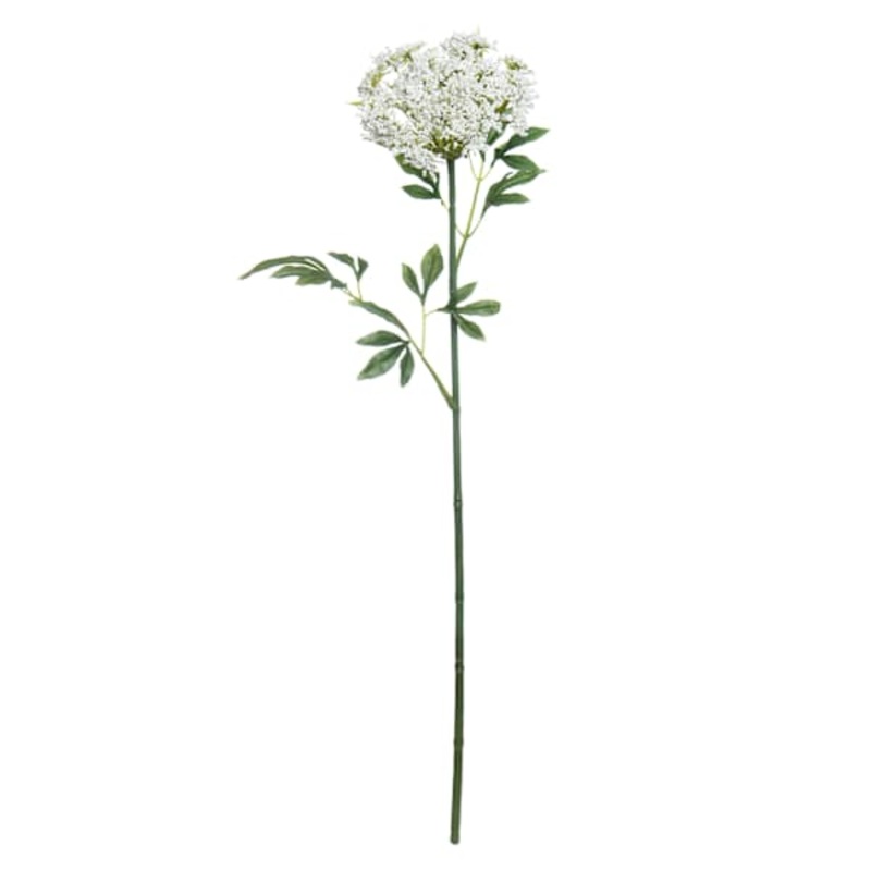 Queen Ann’s Lace Stem, 31″