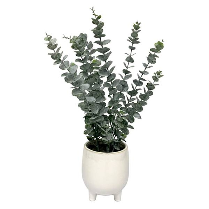 Tracey Boyd Eucalyptus in White Ceramic Pot, 19″