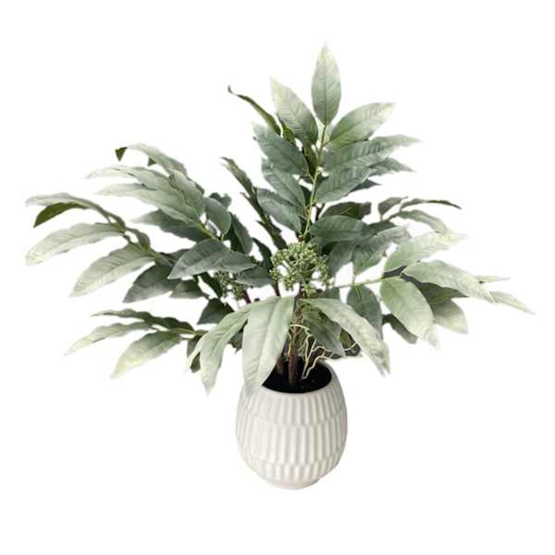 Tracey Boyd Lemon Leaves in Pot, 24″