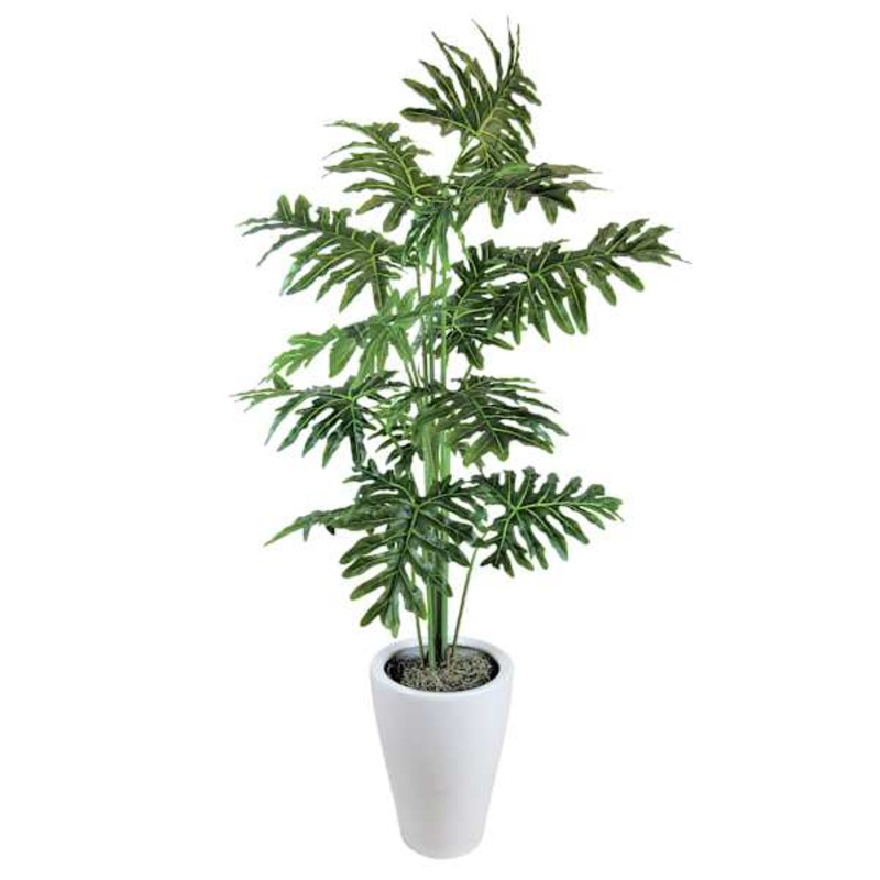 Tropical Leaf Plant with White Planter, 6.5′