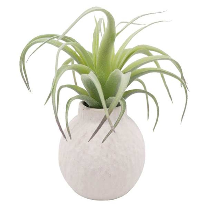Ty Pennington Air Grass In Ceramic Pot, 6″