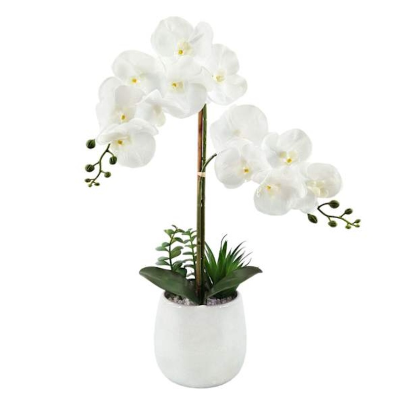 White Orchid Flower with Ceramic Planter, 23″