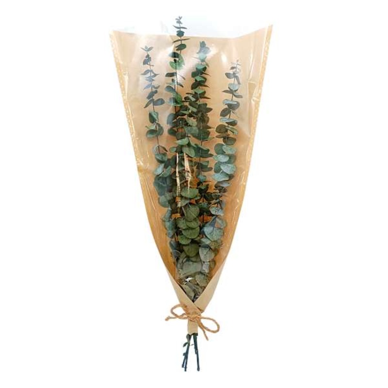Willow Crossley Dried Eucalyptus Bundle, 30″