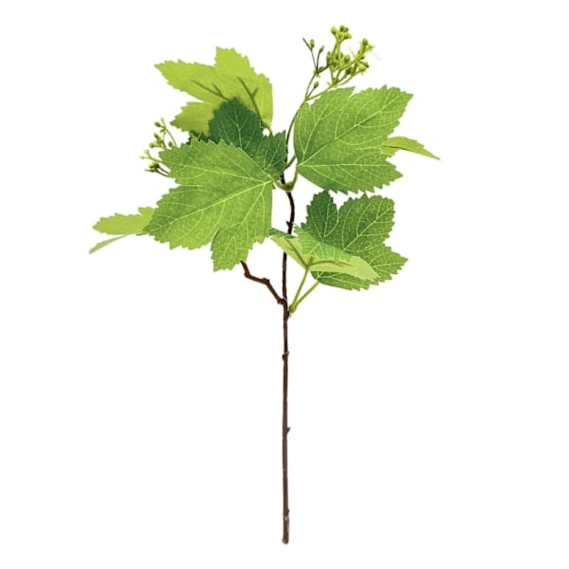 Willow Crossley Flowering Pick, 12″