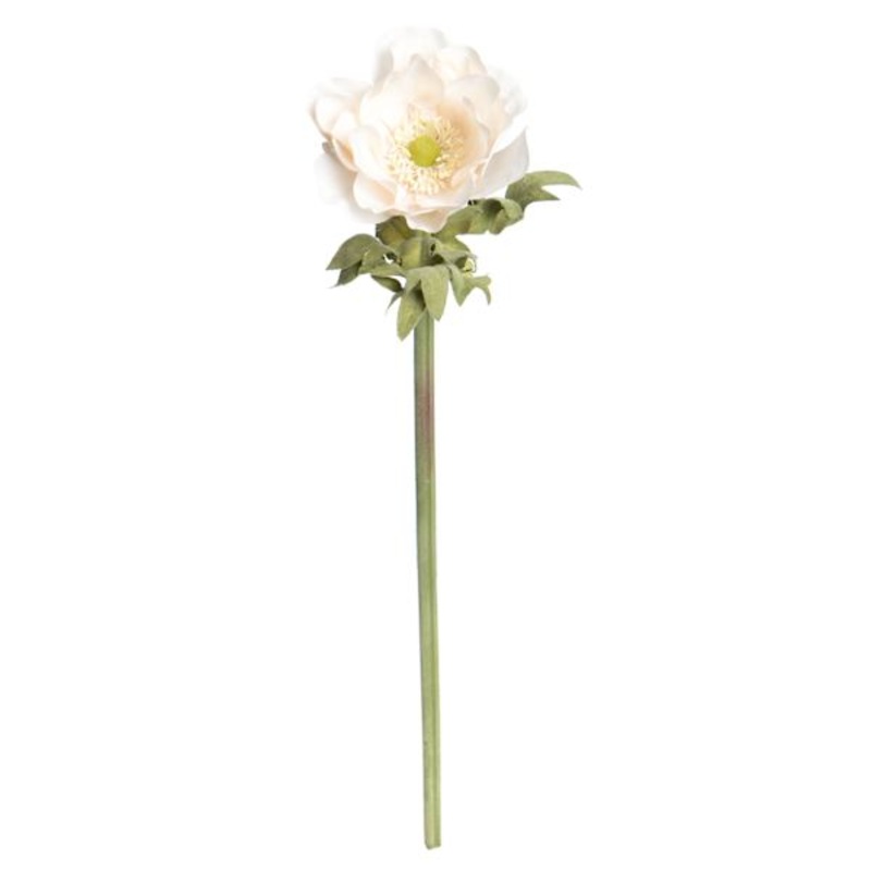 Willow Crossley White Anemone Floral Stem, 17″